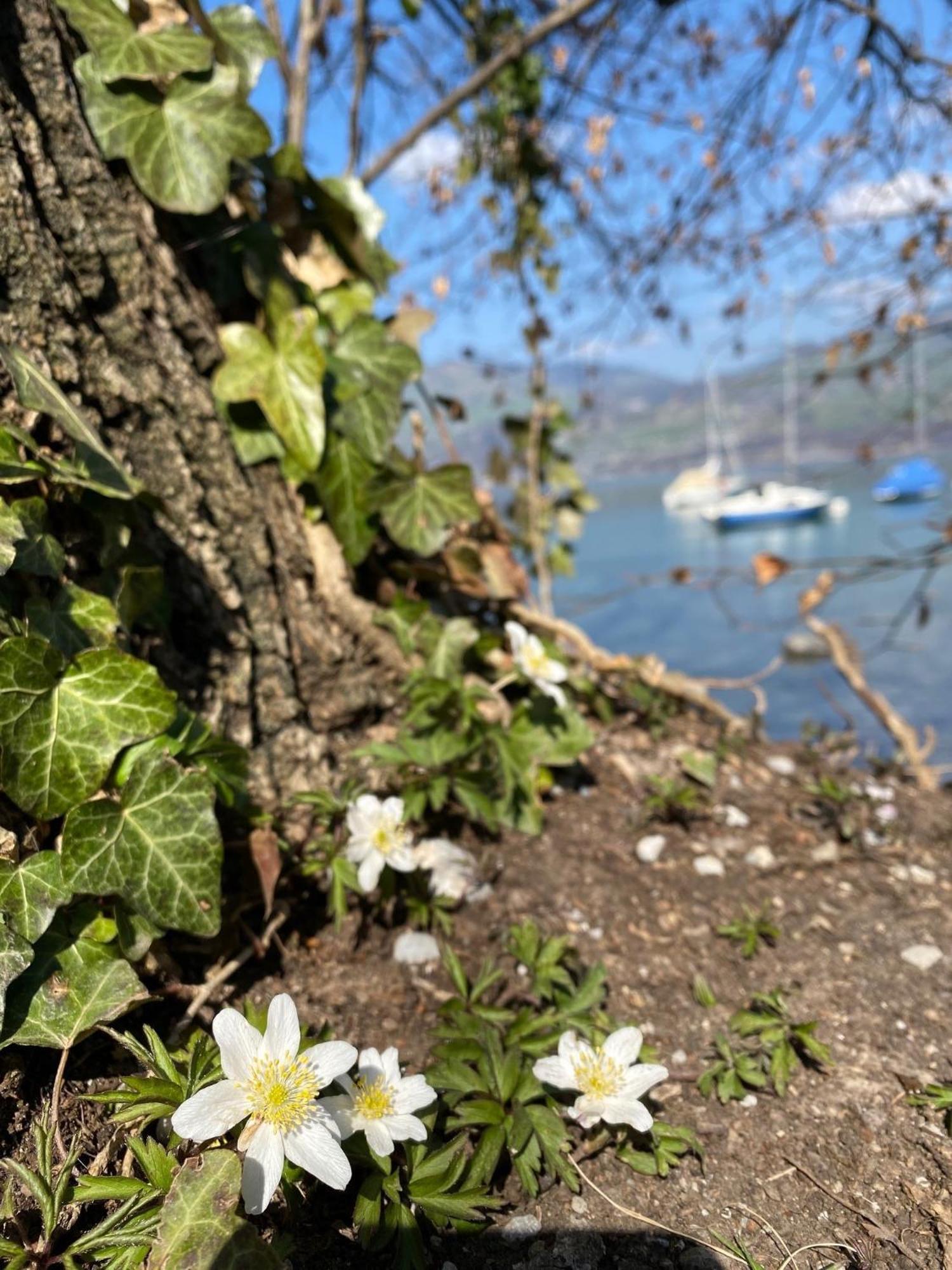 Hotel Seaside Spiez Buitenkant foto
